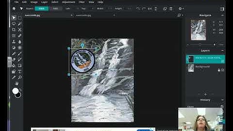 Pixlr E - How to Copy & Paste