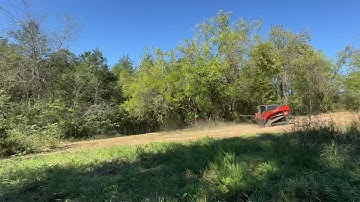 Forestry Mulching (Time Lapse)