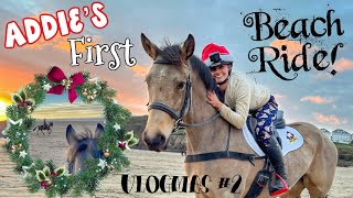 YOUNG HORSE FIRST EVER BEACH RIDE | Equestrian Vlogmas Day 2