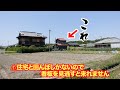 【これぞ讃岐うどんの新境地!!想像を超えてくる全く新しい讃岐うどんの形‼︎】住宅と田んぼに隠れた名店‼︎多加水極細の讃岐うどんの名店【川川うどん】香川県善通寺市