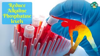 How to Treat High Alkaline Phosphatase? How to Reduce High Alkaline Phosphatase Levels in Blood?