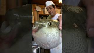 MAKAN IKAN BUNTAL BERACUN