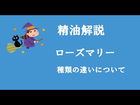 アロマおばさんの精油解説　ローズマリー種類の違いについて