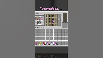 Minecraft Technoblade Banner ❤😔