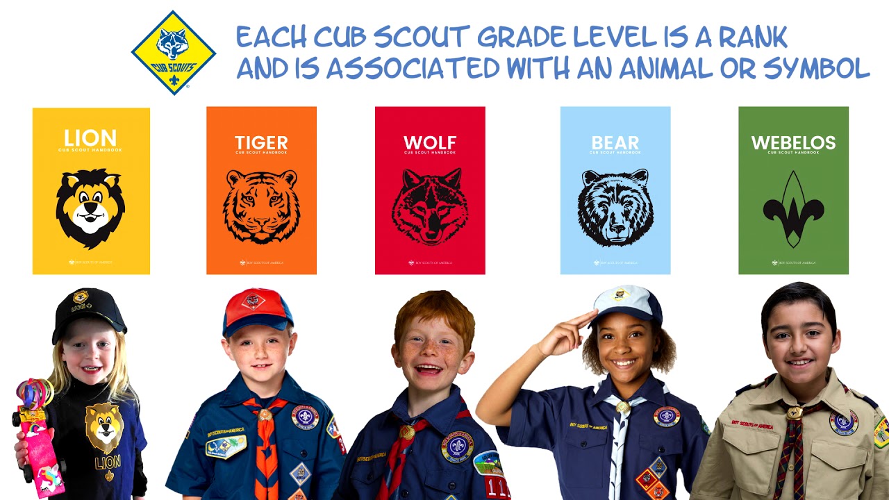 Boy Scouts Of America Rank Advancement Chart