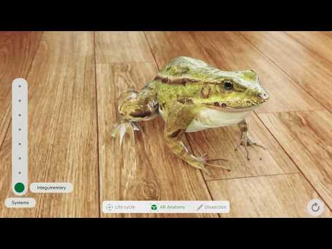 YouTube video