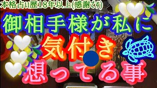 ＊本格辛口/霊視タロット🔮今現在あの人が想っている事🤍✨ 🪷🪷🪷