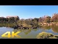 Walking around kiyosumi teiengarden tokyo  long take 4k