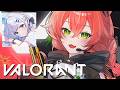 【 Valorant 】どう考えてもこの時間はおかしいだろ！！！w/かがすみれ【にじさんじ/獅子堂あかり】