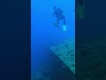 Wrak statku El Mina Hurghada Egipt #divng #scubadiving #underwater #nature #egipt #scuba #gopro