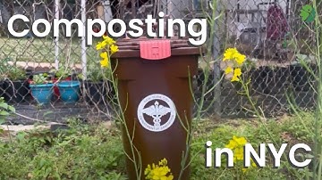 Easy Composting in NYC