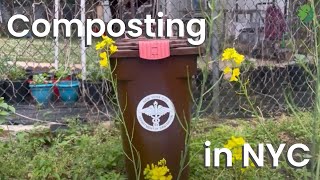 Easy Composting in NYC