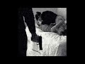 synth punk x nu metal x alternative rock type beat - devotion