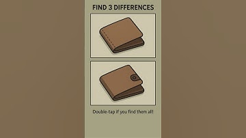 WALLET Differences#shorts #youtubeshorts #spotthedifference