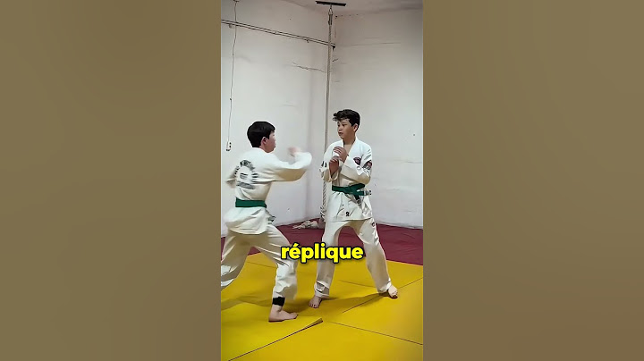 Un Parfait Coup de Pied Tornado ! 🥋👊