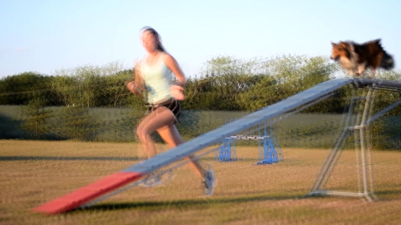 Agility trainings | July 2018 camera iphone 8 plus apk