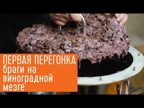 Первая перегонка браги на виноградной мезге