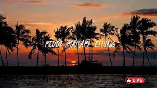 Peddi mallapi ellung(speed up)