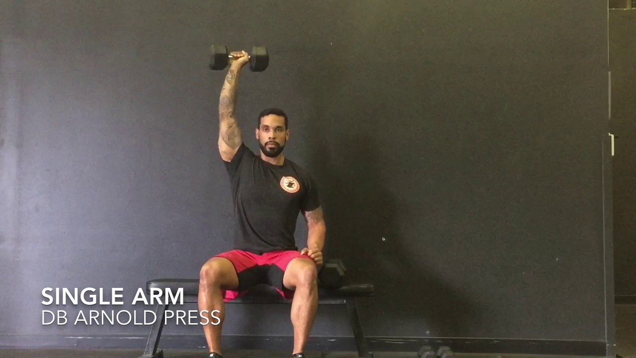 picture Seated Single Arm Arnold Press single arm db arnold press