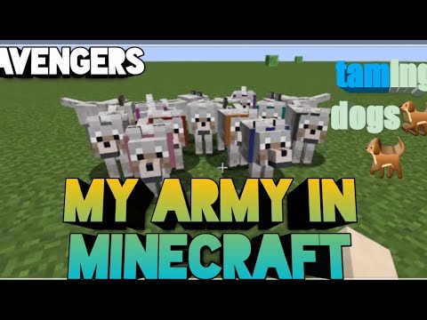 Taming dogs🐕🐕 in Minecraft my army - YouTube