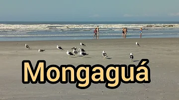 Vai fechar a praia de Mongaguá?