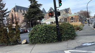 Full Older 16 ICC Ped Signals with Duralight LEDs - Douglas St at Belleville St (Victoria, BC) News