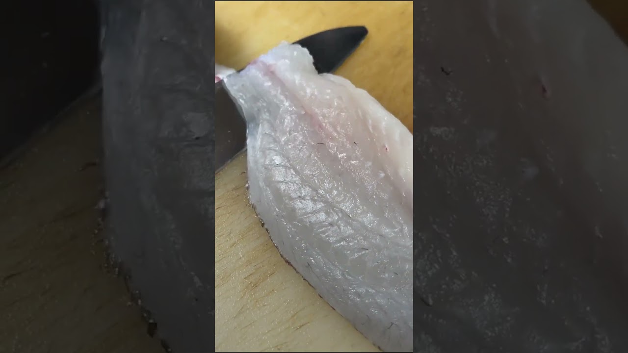 Super Fresh Sashimi Caught in the Morning!