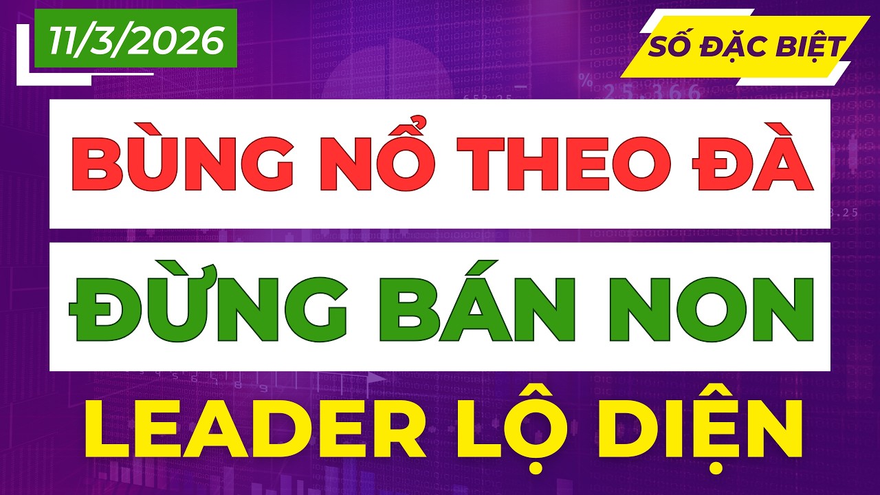 Chờ Bùng Nổ Theo Đà: Đừng Bán Non Nhịp Hồi Chữ V Của Thị Trường!
