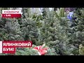Старт зимових свят: Скільки коштують ялинки у 2025 році?
