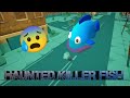 Haunted Killer Fish 😰 |Chicken Gun|