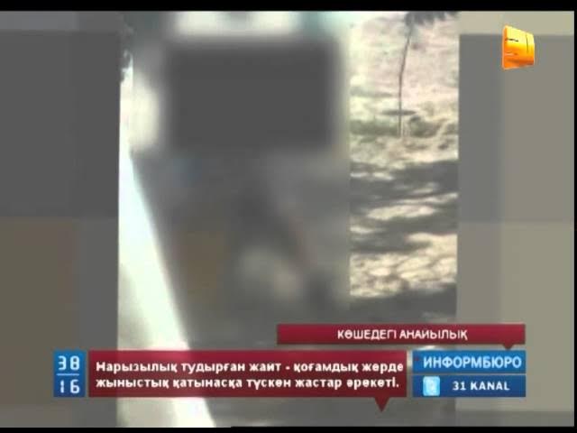 «Итальяндық қызыл телпек» порнофильмі Эротикалық секс тақырыптары