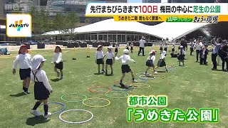 大阪は再開発ラッシュ「うめきた公園」公開！だけどキタだけじゃない！ヒガシには大学新キャンパスやアリーナも整備予定　（2024年5月29日）