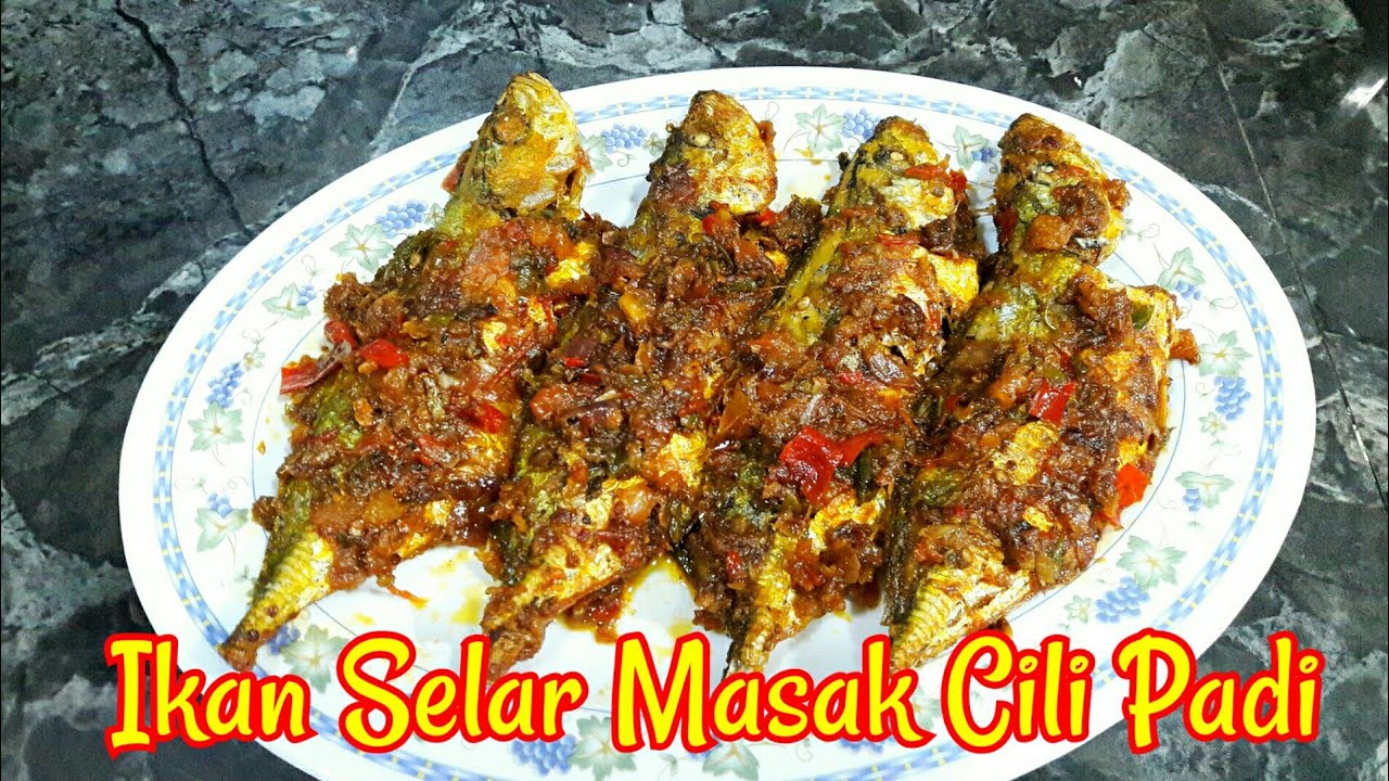 15 Minit Ikan Selar Masak Cili Padi Paling Sedap Spicy Fried Fish Recipe Yellowtail Scad Fish Youtube