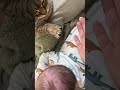 Cute Cat Helps Burp Newborn Baby