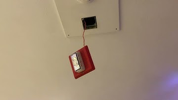 Floating Edwards Integrity Speaker/Strobe