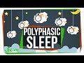 What Do Scientists Really Know About Polyphasic Sleep?