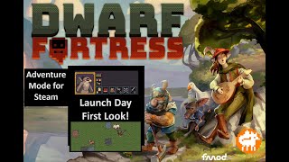 Dwarf Fortress Adventure Mode for Steam!