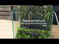 水の流れる苔むした石壁【アクアテラリウムの作り方】#111