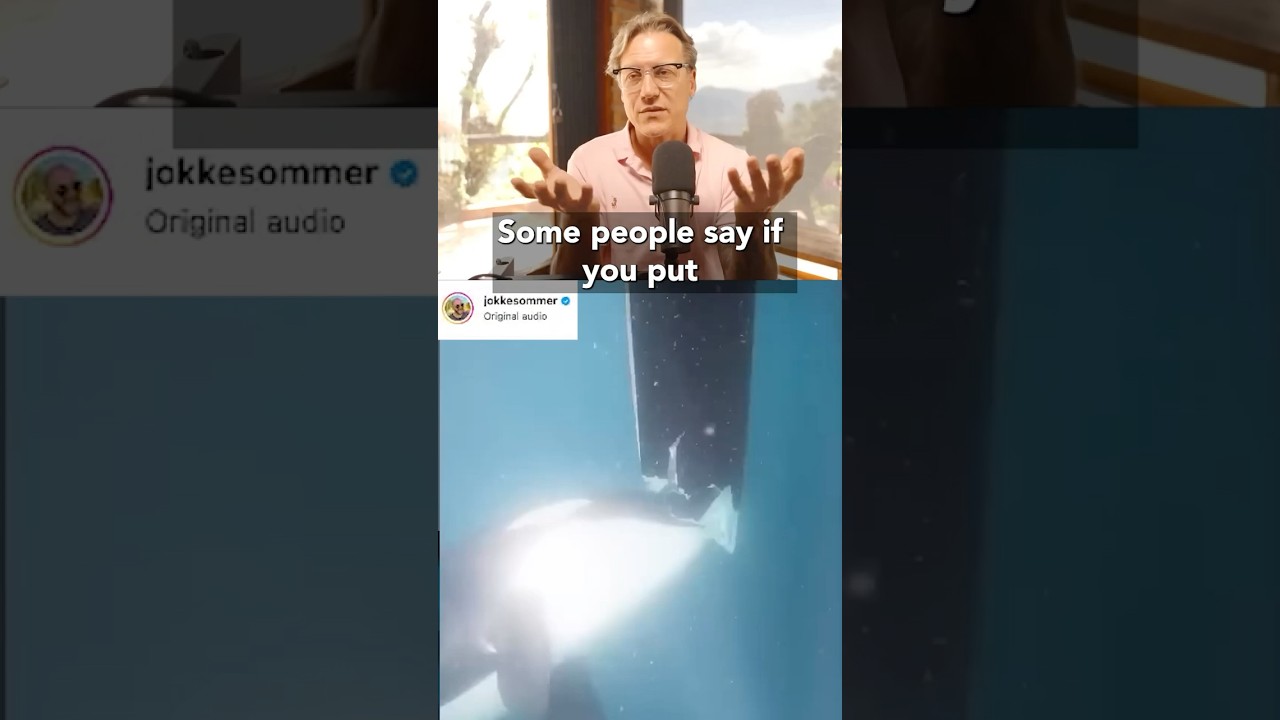 Fighting Orcas Is the Wrong Approach