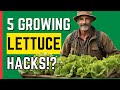 Growing lettuce hacks 5 gamechanging hacks for growing bigger juicier lettuce