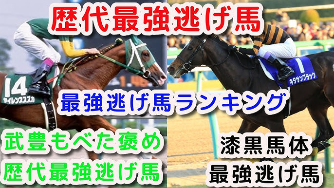 競馬 歴代最強逃げ馬ランキングベスト8 1位はやっぱりあの馬なの Youtube 競馬 歴代最強逃げ馬ランキングベスト8 1位はやっぱりあの馬なの Youtube