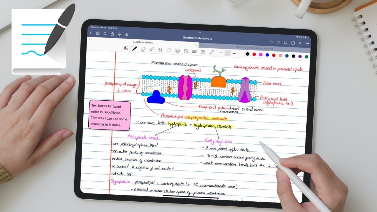 GoodNotes 5] Study with the Flashcards feature – Goodnotes Support