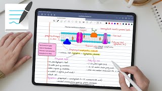 GoodNotes 5 for the iPad (note-taking app) | complete review