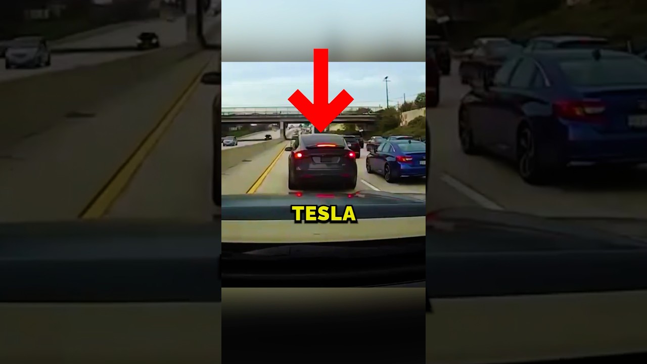 Most Craziest Tesla Driver Ever! 😨