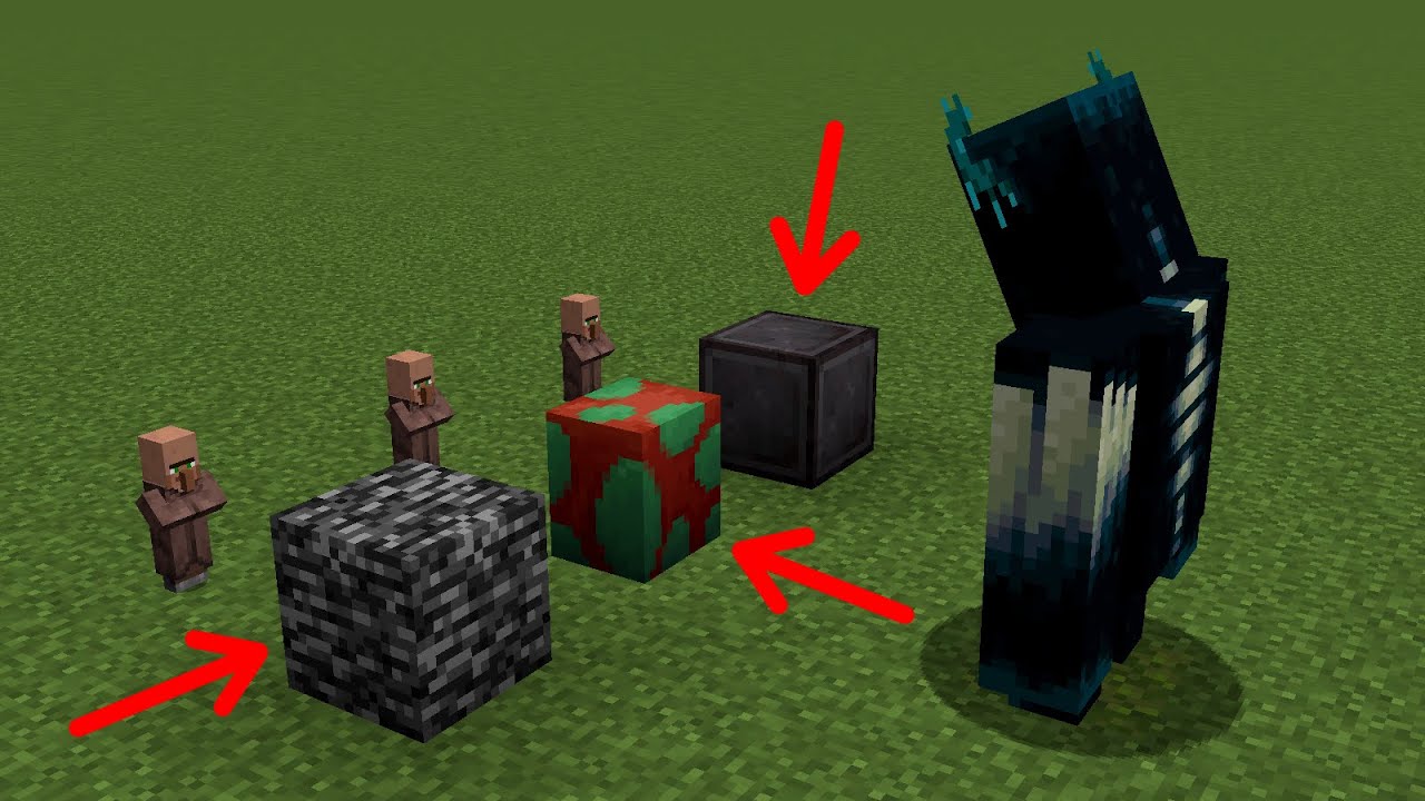 which block will protect the villager from the warden's sonic boom?