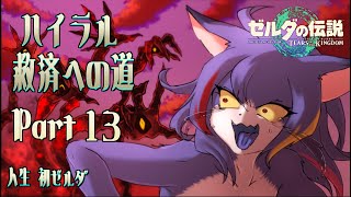 【ティアキン】ハイラル救済への道 Part.13【ケモノV】