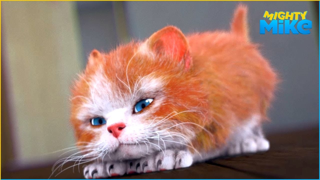 What A Circus | Mighty Mike | 140' Compilation | Cartoon for Kids