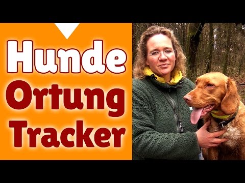 Hundeortung ►► Steffi zeigt einen Hundeortung Tracker im Praxiseinsatz