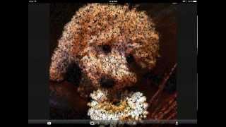 Textify app example from my NAEA15 presentation screenshot 3