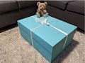 Biggest Tiffany Unboxing Ever: Tiffany & Co. X GLOBE-TROTTER